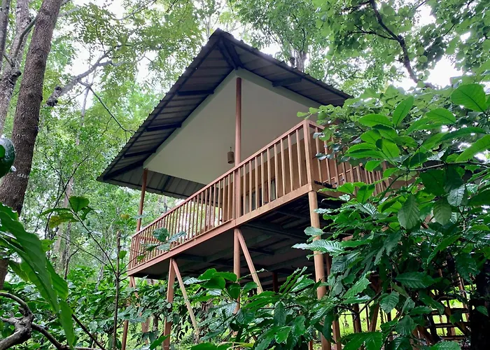 Thennal Jungle Camp