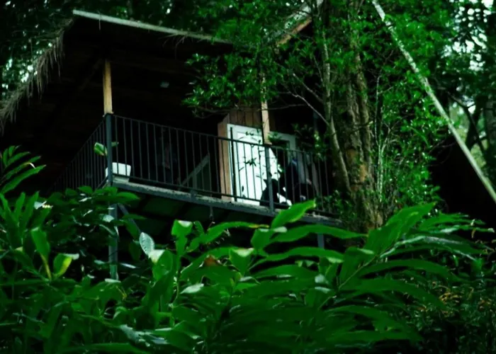 Zeno Village Resort 900 Kandi Wayanad