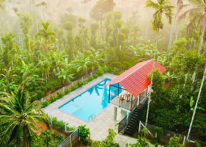 Manayath Wayanad Premium Pool Resort