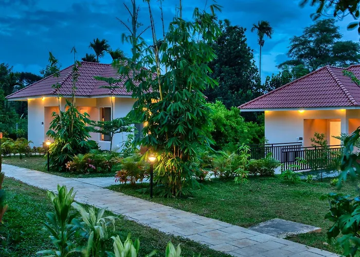 Manayath Wayanad Premium Pool Resort
